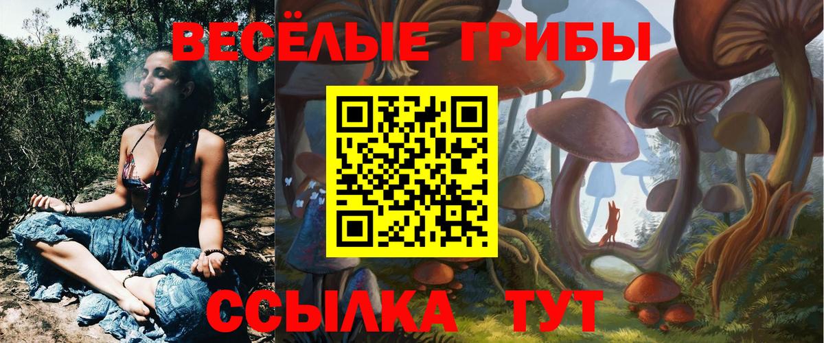 Соль-Илецк  Псилоцибиновые грибы мухоморы  Вход с VPN 