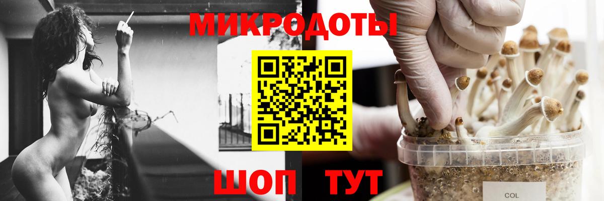 Псилоцибиновые грибы Psilocybine cubensis Соль-Илецк